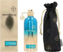 Montale Day Dreams Eau De Parfum 100ml -Parfum Winkel 1200x1007 1