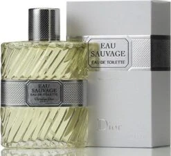 Dior Eau Sauvage 100 Ml - Eau De Toilette - Herenparfum -Parfum Winkel 1200x1098