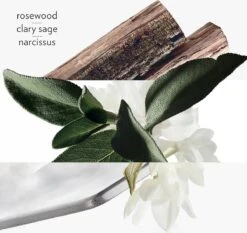 Hermes H24 Eau De Toilette Spray 50 Ml 18 Hermes H24 Eau De Toilette Spray 50 Ml -Parfum Winkel 1200x1133 1