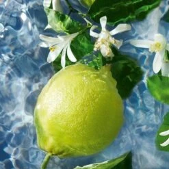 Guerlain - Aqua Allegoria Bergamote Calabria - Eau De Toilette - 75ML -Parfum Winkel 1200x1200 118