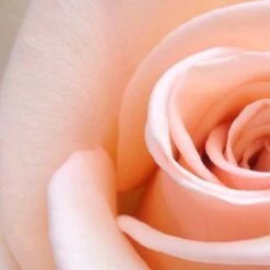 Spider-Man Eau De Toilette Spray - 100 Ml - Parfum Voor Kinderen -Parfum Winkel 1200x1200 185