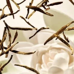 RITUALS Life Is A Journey - Karma Car Perfume - 6 G -Parfum Winkel 1200x1200 204