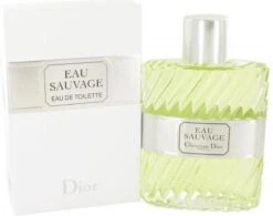Dior Eau Sauvage 100 Ml - Eau De Toilette - Herenparfum -Parfum Winkel 1200x945
