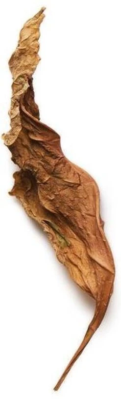 Giorgio Armani Acqua Di Gio Profumo 125 Ml - Eau De Parfum - Herenparfum -Parfum Winkel 365x1200