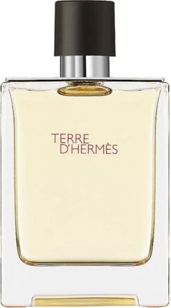 Hermes Terre D'Hermes 100 Ml - Eau De Toilette - Herenparfum -Parfum Winkel 667x1200