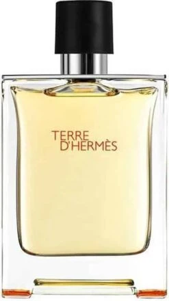 Hermes Terre D'Hermes 100 Ml - Eau De Toilette - Herenparfum -Parfum Winkel 674x1200