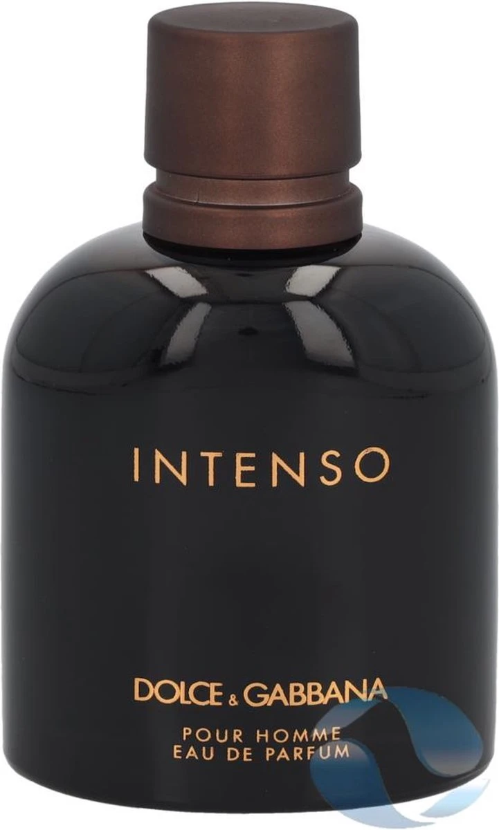 Dolce & Gabbana - Intenso Pour Homme - Eau De Parfum - 125ML 17 Dolce & Gabbana - Intenso Pour Homme - Eau De Parfum - 125ML - Afbeelding 15