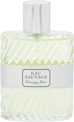 Dior Eau Sauvage 100 Ml - Eau De Toilette - Herenparfum -Parfum Winkel 728x1200