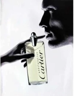 Cartier Déclaration 100 Ml - Eau De Toilette - Herenparfum -Parfum Winkel 933x1200